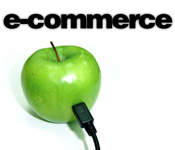 Ecommerce Website Design Solutions